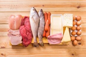 animal protein for kidney disease