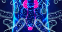 gut restoration and progression of CKD