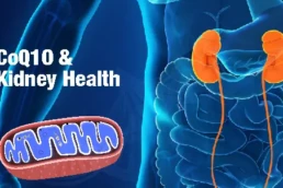 CoQ10 and Kidney Health