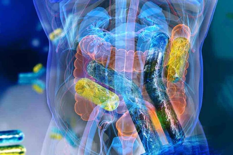 Gut Kidney Connection