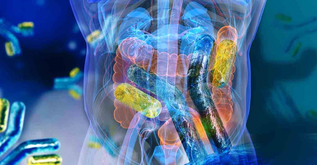 Gut Kidney Connection