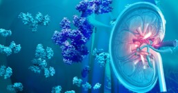 Biochemistry of Amino Acids Metabolism