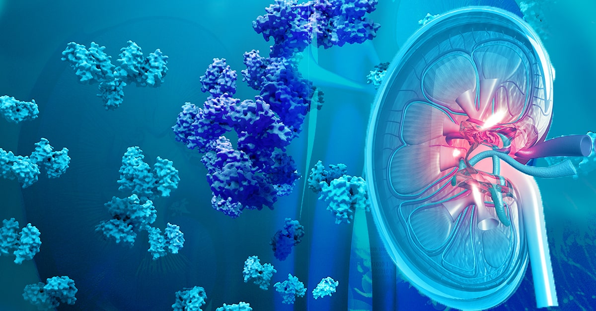 Biochemistry of Amino Acids Metabolism