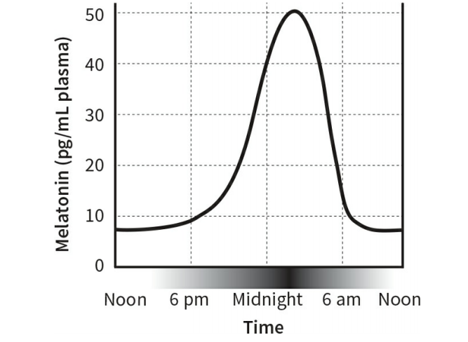Figure 1: The Cycle of Melatonin- (Matthew Walker, 2017)