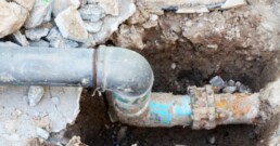 lead exposure and kidney health