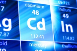cadmium and kidney disease