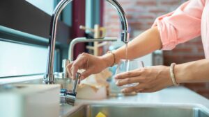 fluoride and kidney health