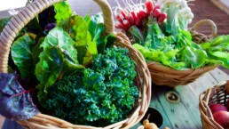the benefits of quercetin to the kidneys