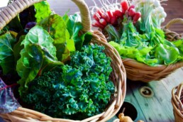 the benefits of quercetin to the kidneys