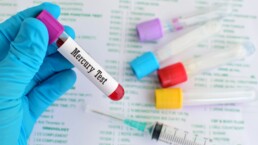mercury is toxic to the kidneys