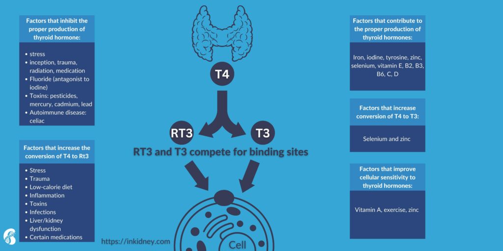 #researchandnews #kidneyresearch #renalresearch #nephrologyresearch #integrativenephrology #chronickidneydisease #kidneyhealth #kidneydisease #kidneydiet #kidneytransplantrecipient #kidneyfailure #chronickidneydiseaseawareness #kidneycare #renaldisease #ckd #kidneydiseaseawareness #healthykidneys #renalhealth #inkidney #integrativekidney #integrativekidneyinstitute 