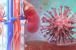 effects of EBV infection on the kidneys