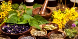 herbs for kidney health