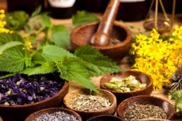 herbs for kidney health