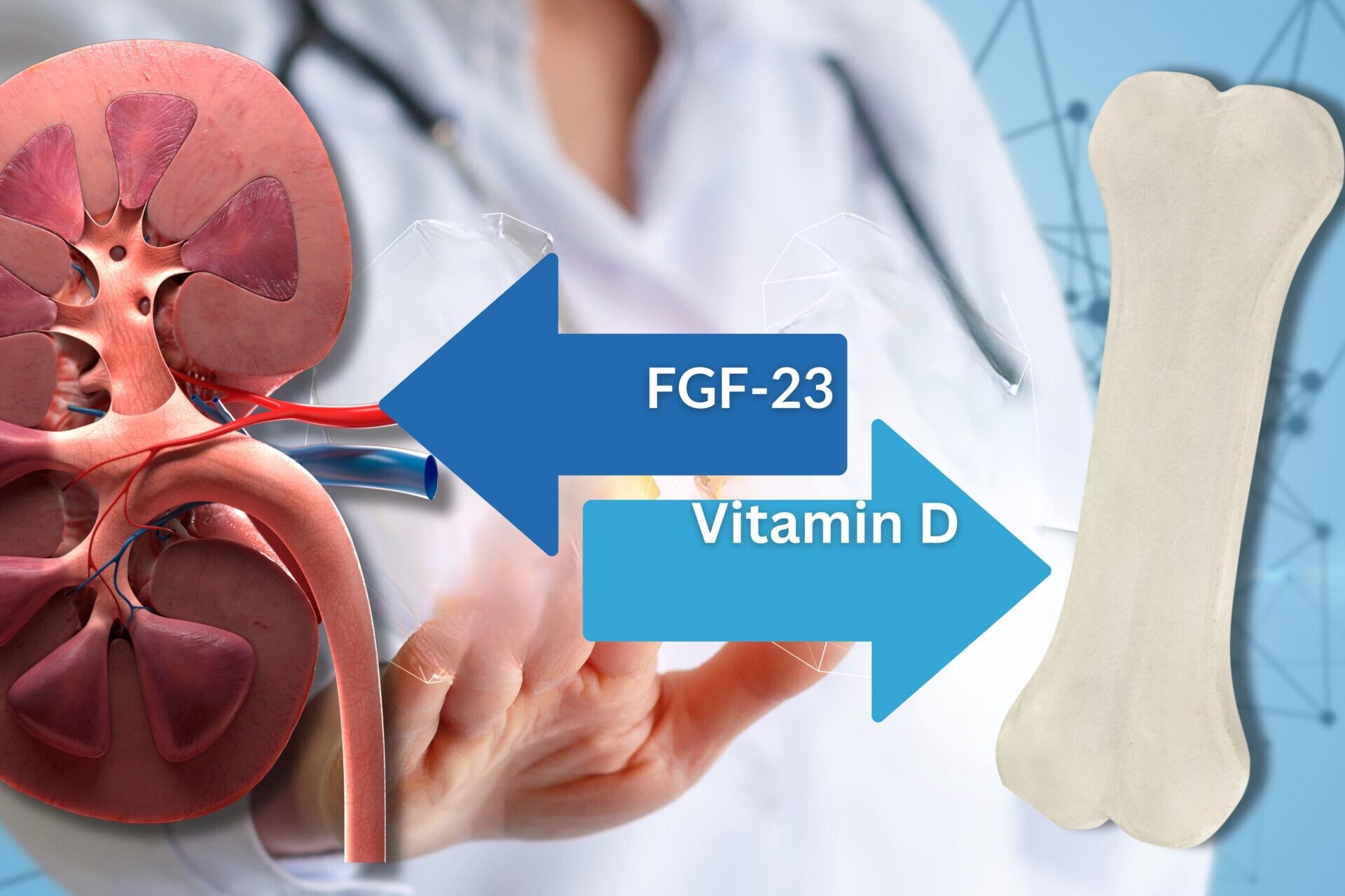 FGF-23