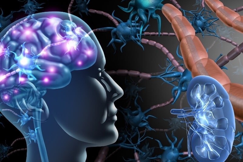 dementia and chronic kidney disease
