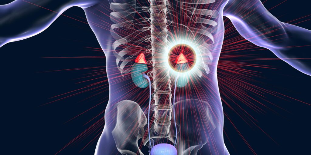 adrenal-kidney connection