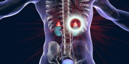adrenal-kidney connection