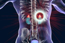 adrenal-kidney connection