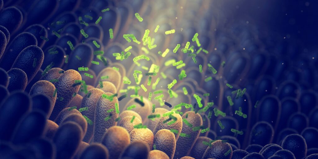intestinal dialysis