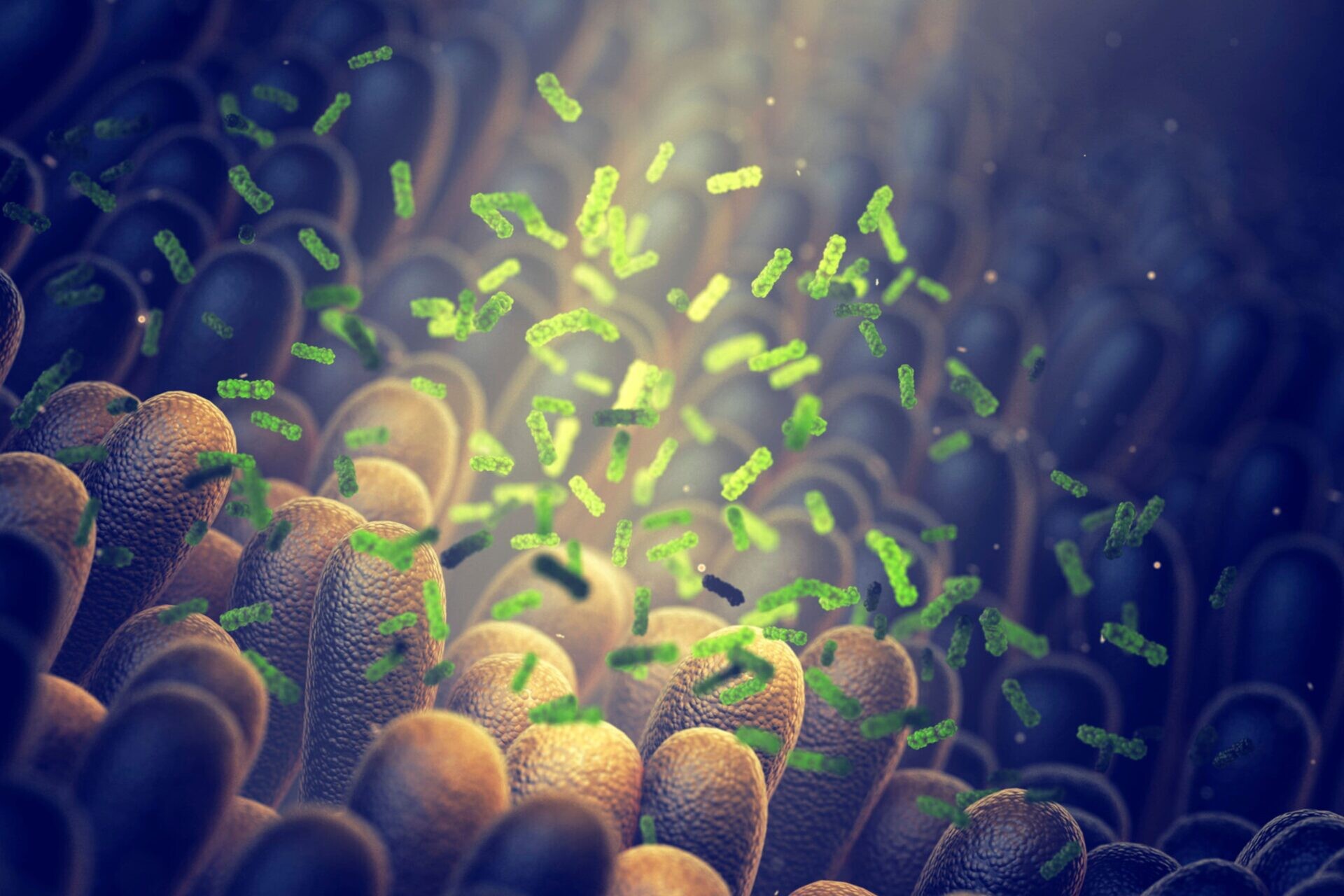 intestinal dialysis