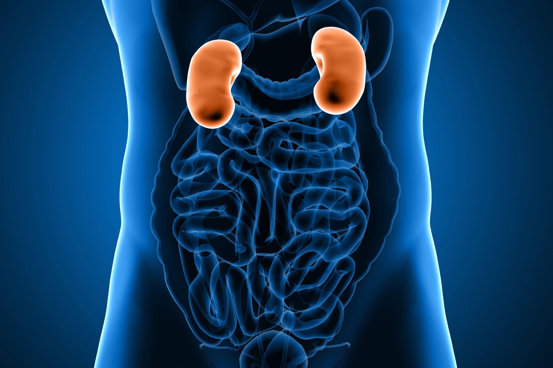 gut-kidney axis in IgA nephropathy triggers