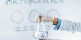 microplastic on kidney health
