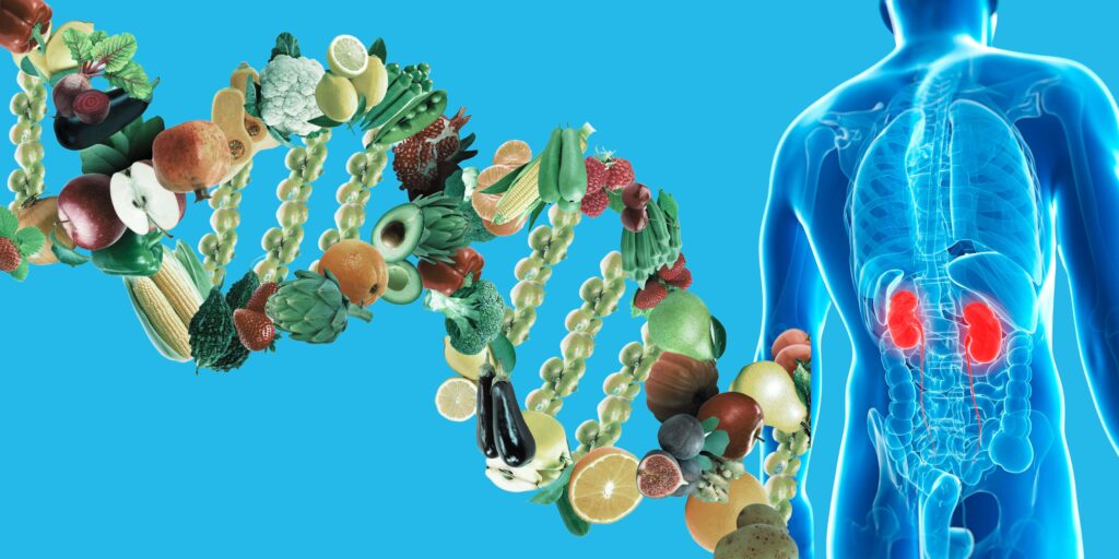 nutrigenomics and kidney health