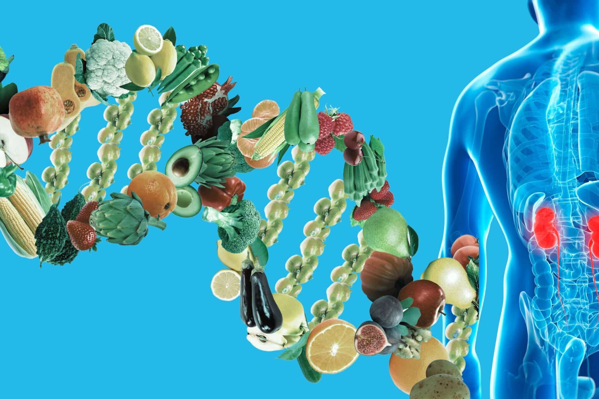nutrigenomics and kidney health