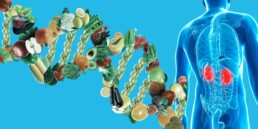 nutrigenomics and kidney health