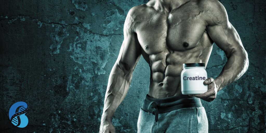 effects of creatine supplements on the kidneys