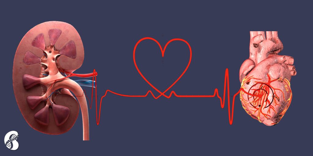 Cardiovascular-kidney-metabolic syndrome