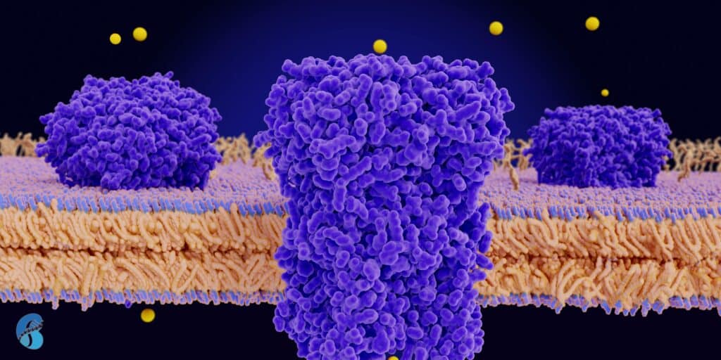 Membranous Nephropathy Causes