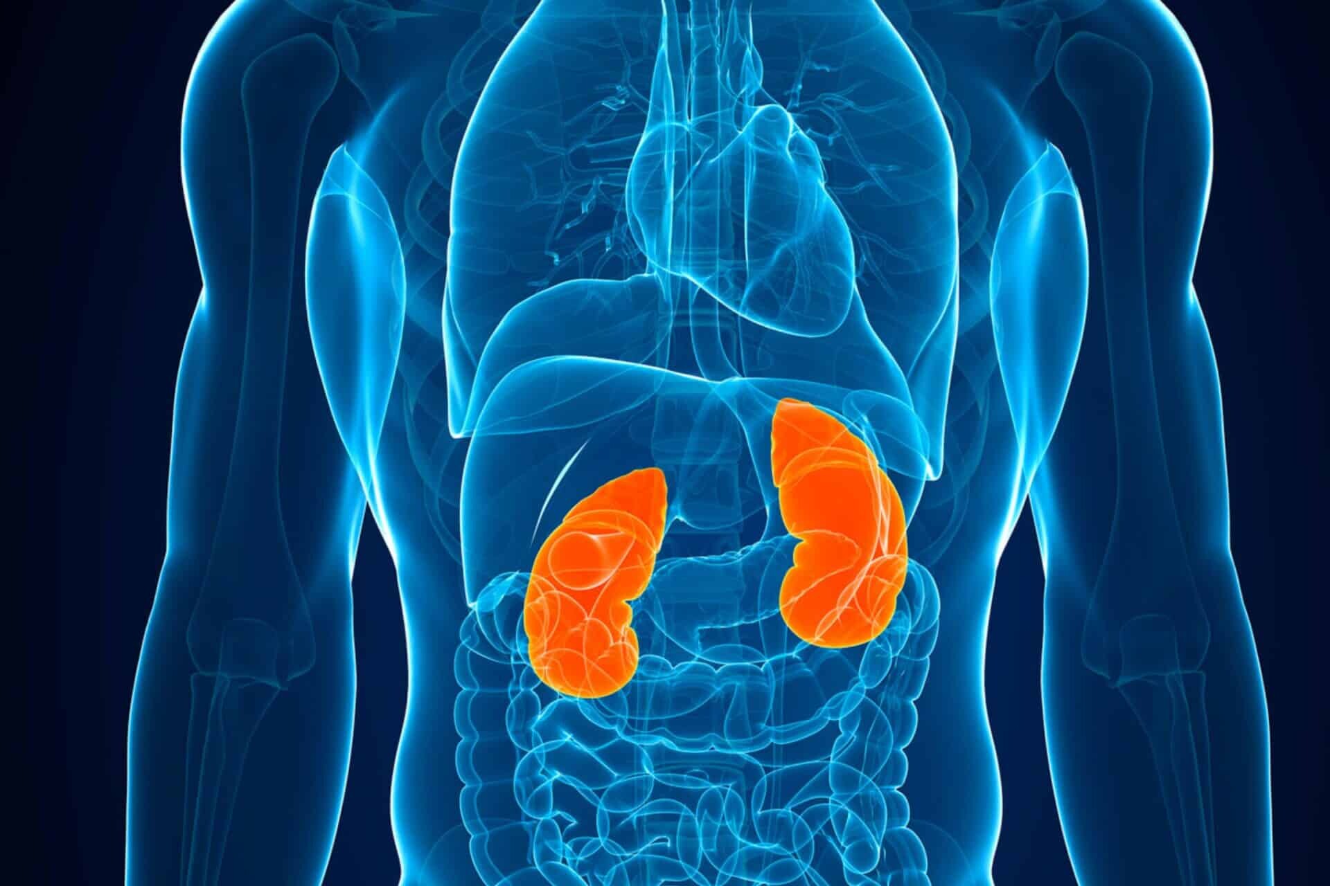 Assessing gut health for kidney disease management gut health questionnaire