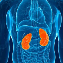 Assessing gut health for kidney disease management gut health questionnaire