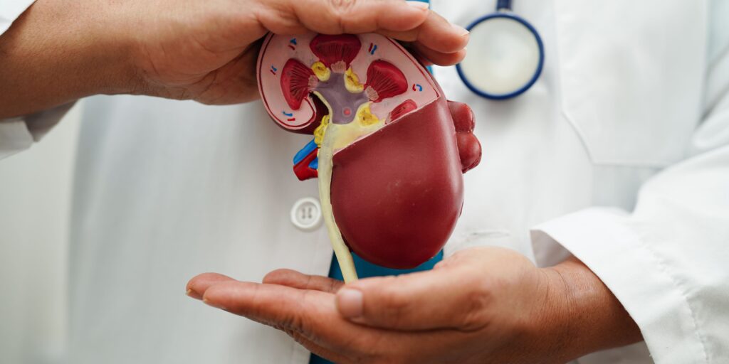 Tubulointerstitial Nephritis