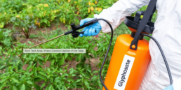 glyphosate exposure