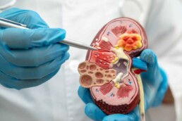 trichloroethylene exposure and kidney disease