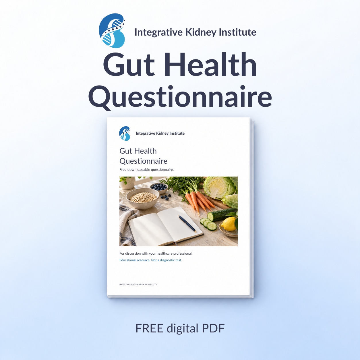 Gut Health Questionnaire free digital PDF from Integrative Kidney Institute, shown as a branded document-stack mockup on a pale blue background.